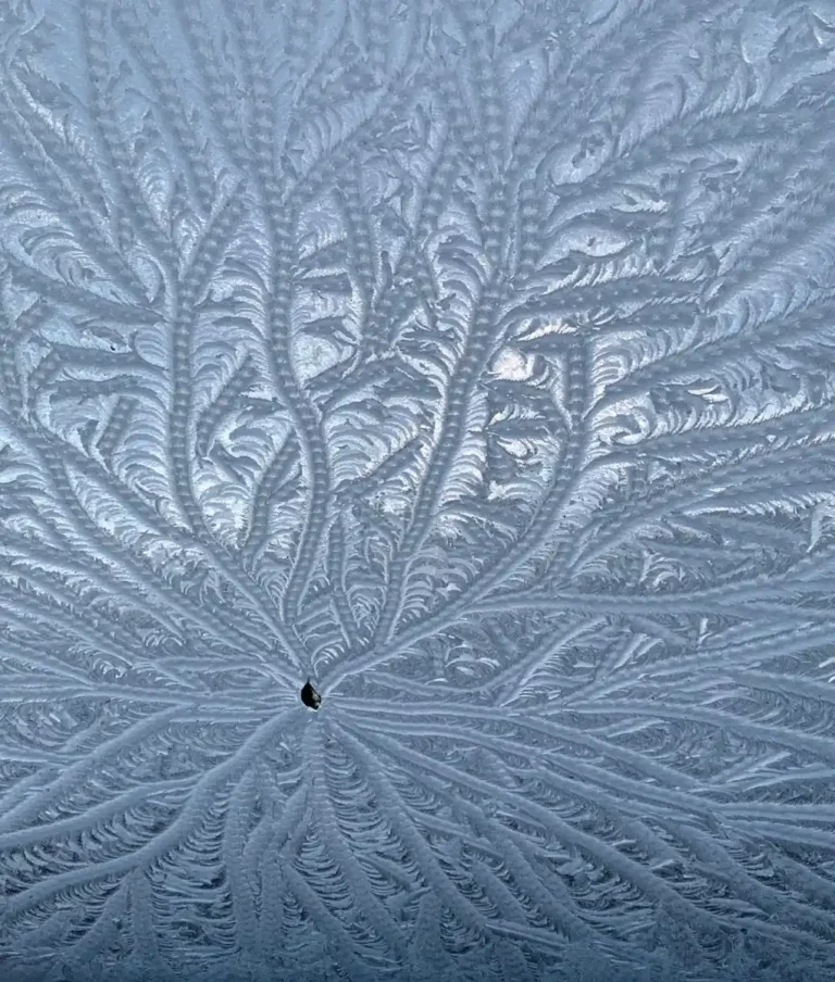 2025 ACD HC13 - Frosty Morning - Carole Barnett - Penryn CC