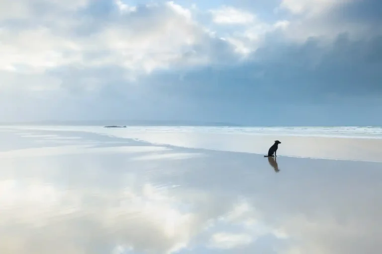 2025 ACP HC15 - Patience - Lucie Averill - PPG