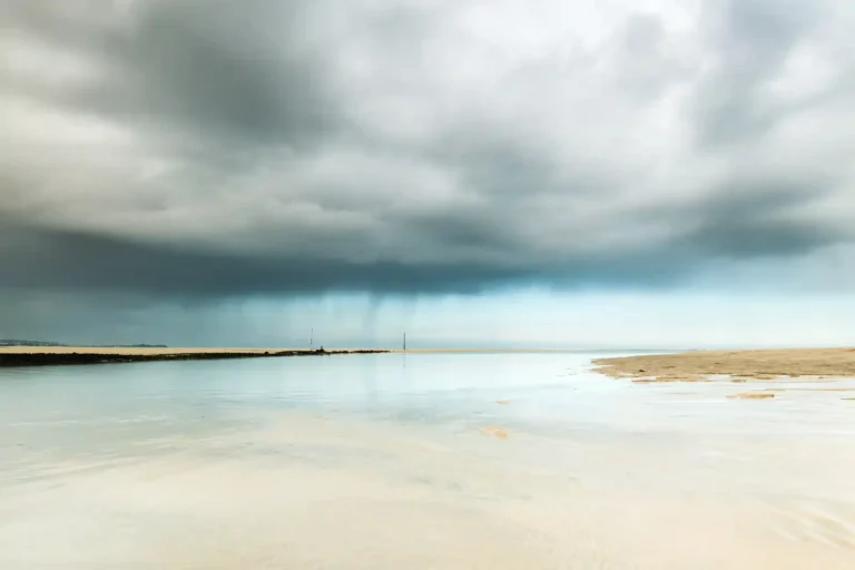 2025 ACP SA - Squall - Lucie Averill - PPG