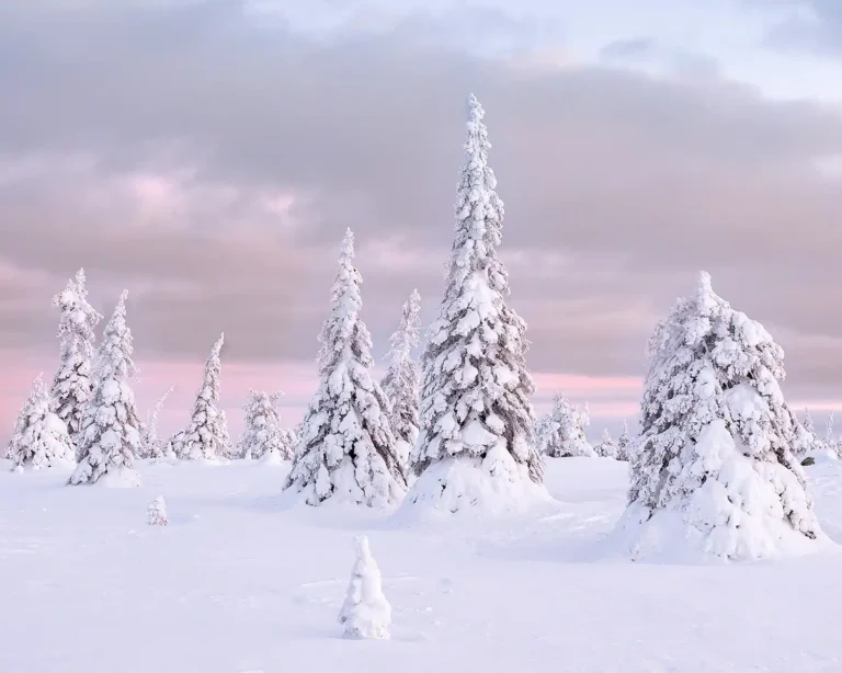 2026 CH 1st - Winter Wonderland - Rob Green - Saltash CC