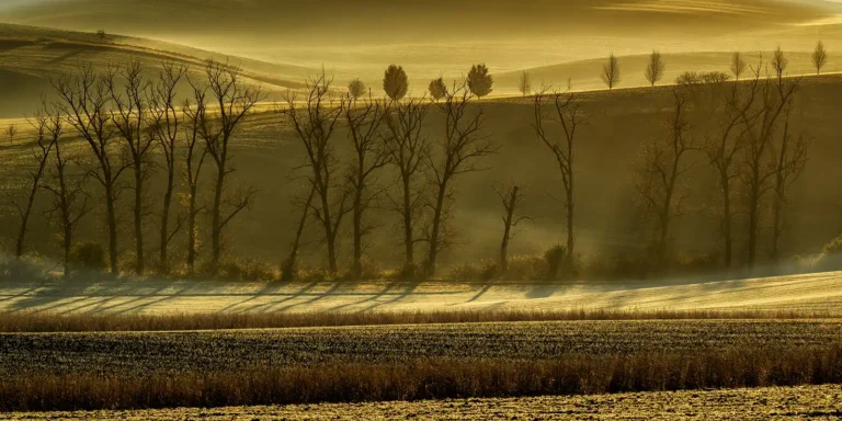 2026 CH HC - Autumn Light - Rob Green - Saltash CC