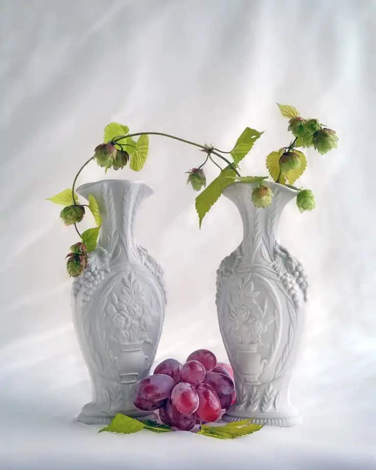 2026 ACP HC - Hops, Grapes and Vases-Heather Bodle-Launceston CC